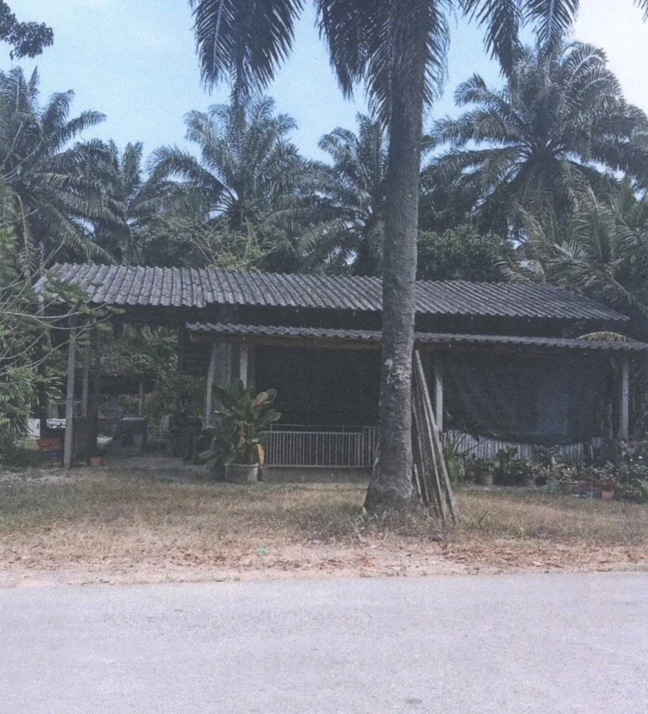 ขายทอดตลาด ที่ดินพร้อมสิ่งปลูกสร้าง ต.รับร่อ อ.ท่าแซะ จ.ชุมพร