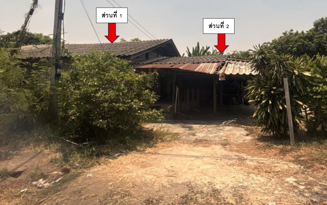 ขายทอดตลาด ที่ดินพร้อมสิ่งปลูกสร้าง ต.ทุ่งบัว อ.กำแพงแสน จ.นครปฐม
