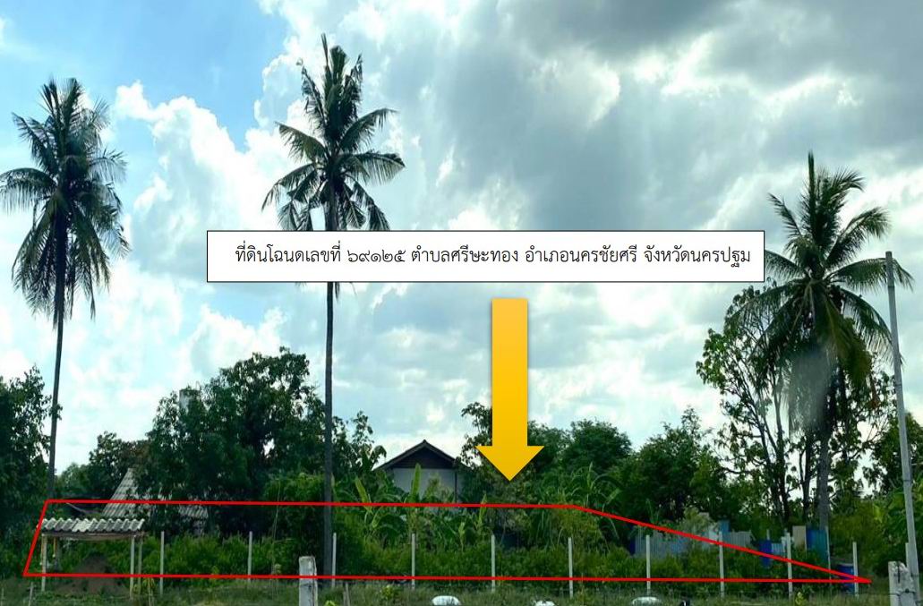 ขายทอดตลาด ที่ดินว่างเปล่า ต.ศรีษะทอง อ.นครชัยศรี จ.นครปฐม
