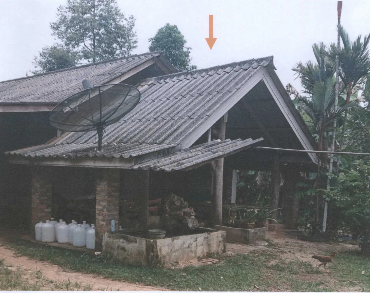 ขายทอดตลาด ที่ดินพร้อมสิ่งปลูกสร้าง ต.หนองทะเล อ.เมืองกระบี่ จ.กระบี่