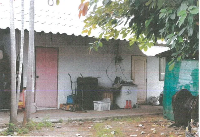 ขายทอดตลาด ที่ดินพร้อมสิ่งปลูกสร้าง ต.สันปูเลย อ.ดอยสะเก็ด จ.เชียงใหม่
