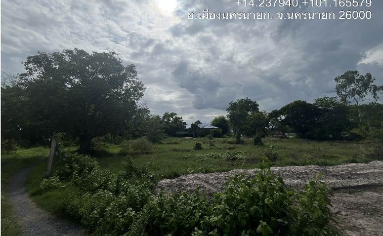 ขายทอดตลาด ที่ดินว่างเปล่า จ.นครนายก