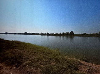 ขายทอดตลาด ที่ดินว่างเปล่า ต.บางสมบูรณ์ อ.องครักษ์ จ.นครนายก