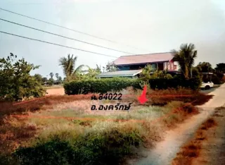 รูปทรัพย์ 2