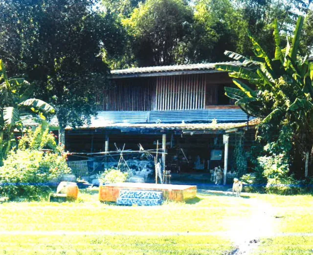ขายทอดตลาด ที่ดินพร้อมสิ่งปลูกสร้าง ต.เกาะหวาย อ.ปากพลี จ.นครนายก