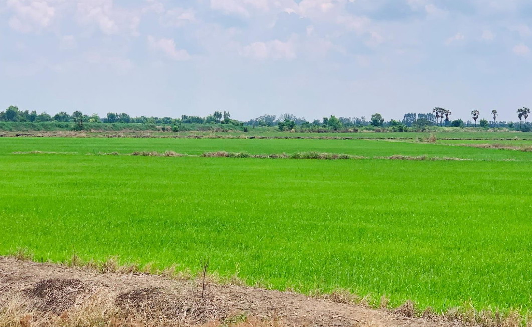 ขายทอดตลาด ที่ดินว่างเปล่า ต.ศรีจุฬา อ.เมืองนครนายก จ.นครนายก