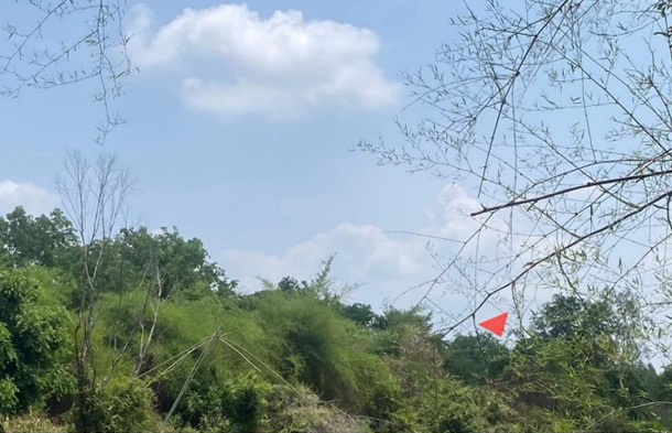 ขายทอดตลาด ที่ดินว่างเปล่า ต.นาขาม อ.เรณูนคร จ.นครพนม