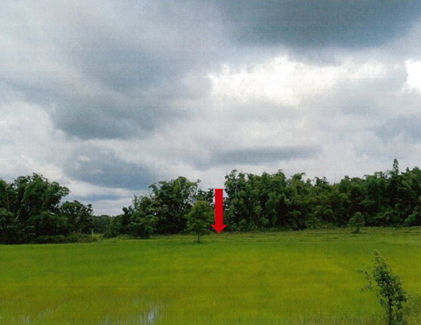 ขายทอดตลาด ที่ดินว่างเปล่า ต.โนนตาล อ.ท่าอุเทน จ.นครพนม