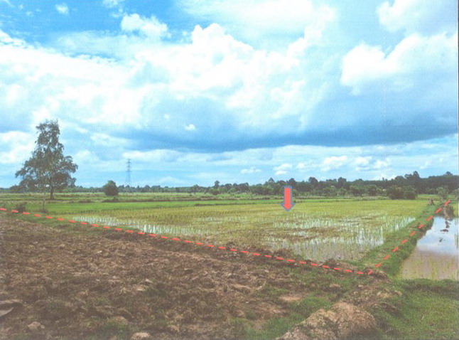 ขายทอดตลาด ที่ดินว่างเปล่า ต.ยางงาม อ.หนองไผ่ จ.เพชรบูรณ์