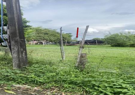 ขายทอดตลาด ที่ดินว่างเปล่า ต.เรณูใต้ อ.เรณูนคร จ.นครพนม