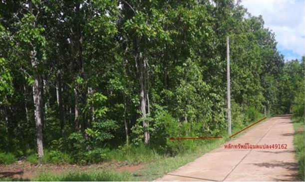ขายทอดตลาด ที่ดินว่างเปล่า ต.วังตามัว อ.เมืองนครพนม จ.นครพนม