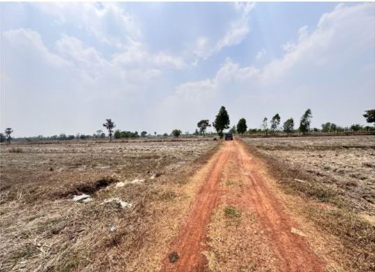 ขายทอดตลาด ที่ดินว่างเปล่า ต.นาขาม อ.เรณูนคร จ.นครพนม