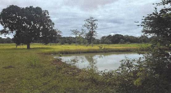 ขายทอดตลาด ที่ดินว่างเปล่า ต.หนองญาติ อ.เมืองนครพนม จ.นครพนม