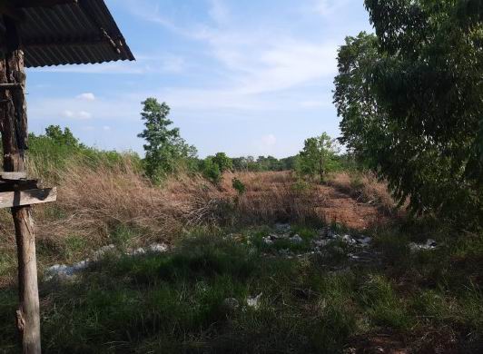 ขายทอดตลาด ที่ดินว่างเปล่า ต.ดอนเตย อ.นาทม จ.นครพนม