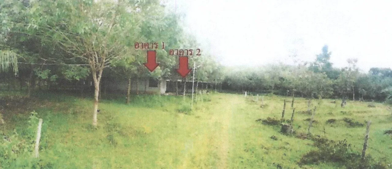 ขายทอดตลาด ที่ดินว่างเปล่า ต.อุ่มเหม้า อ.ธาตุพนม จ.นครพนม
