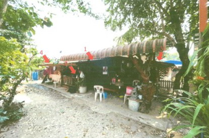 ขายทอดตลาด ที่ดินพร้อมสิ่งปลูกสร้าง ต.ไชยบุรี อ.ท่าอุเทน จ.นครพนม