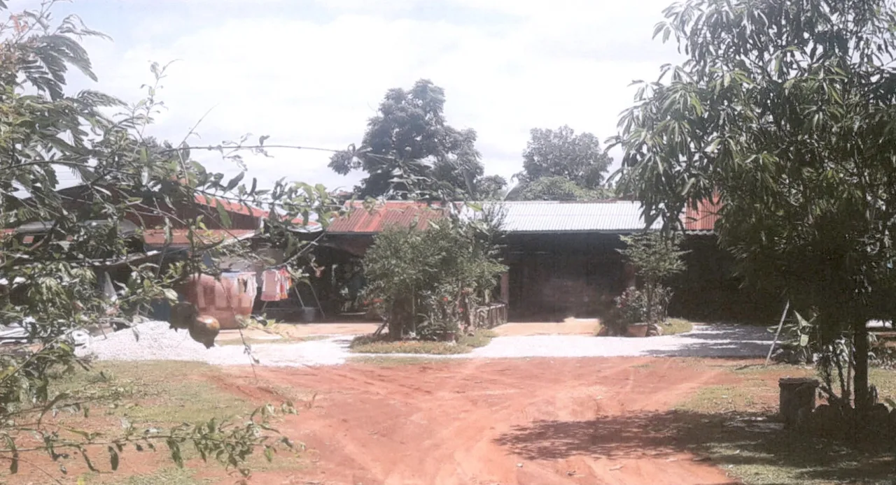 ขายทอดตลาด ที่ดินพร้อมสิ่งปลูกสร้าง ต.นาราชควาย อ.เมืองนครพนม จ.นครพนม