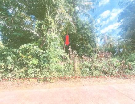 ขายทอดตลาด ที่ดินว่างเปล่า ต.คำพี้ อ.นาแก จ.นครพนม