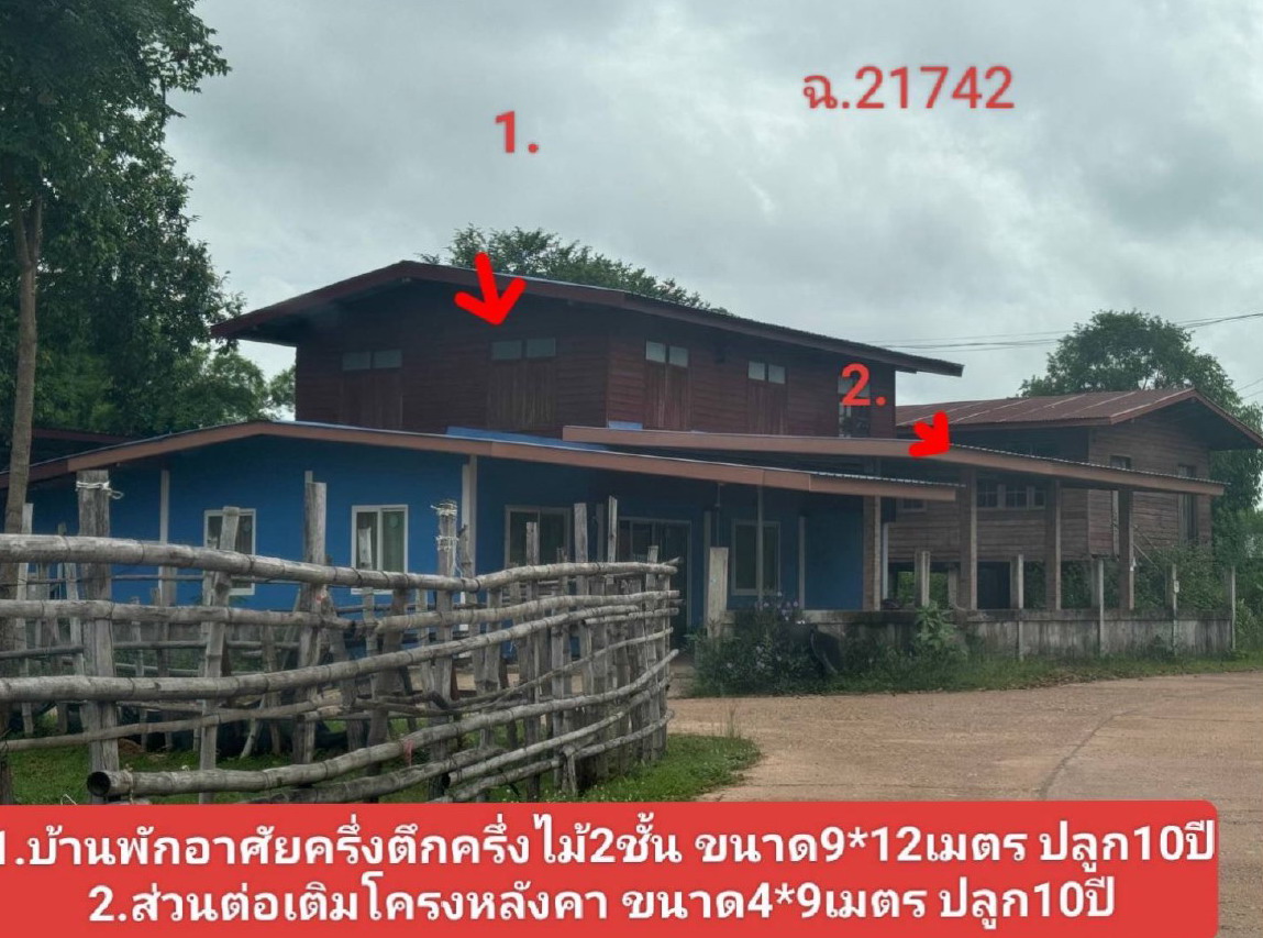 ขายทอดตลาด ที่ดินพร้อมสิ่งปลูกสร้าง ต.ท่าค้อ อ.เมืองนครพนม จ.นครพนม