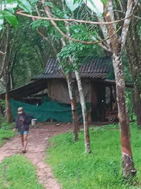ขายทอดตลาด ที่ดินพร้อมสิ่งปลูกสร้าง ต.ท่าค้อ อ.เมืองนครพนม จ.นครพนม