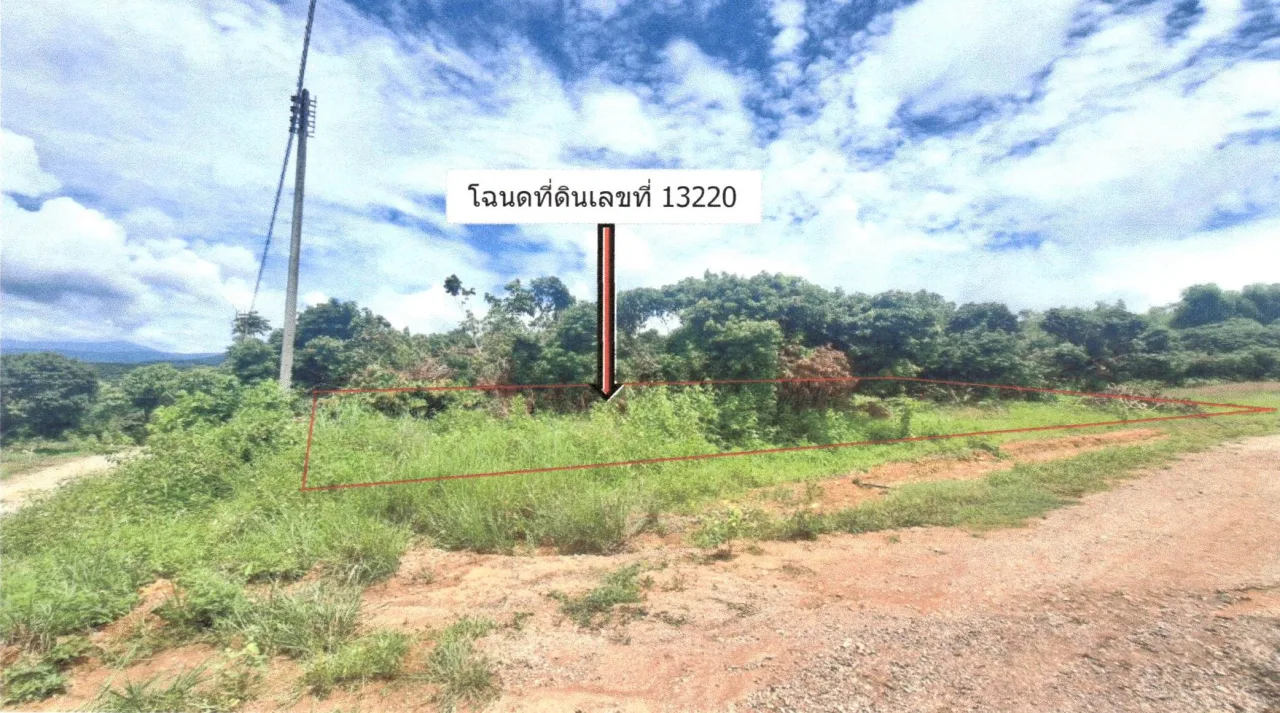 ขายทอดตลาด ที่ดินว่างเปล่า ต.แม่สรวย อ.แม่สรวย จ.เชียงราย