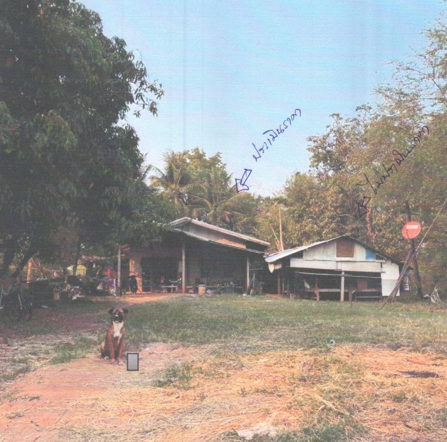 ขายทอดตลาด ที่ดินพร้อมสิ่งปลูกสร้าง ต.บ้านทุ่ม อ.เมืองขอนแก่น จ.ขอนแก่น