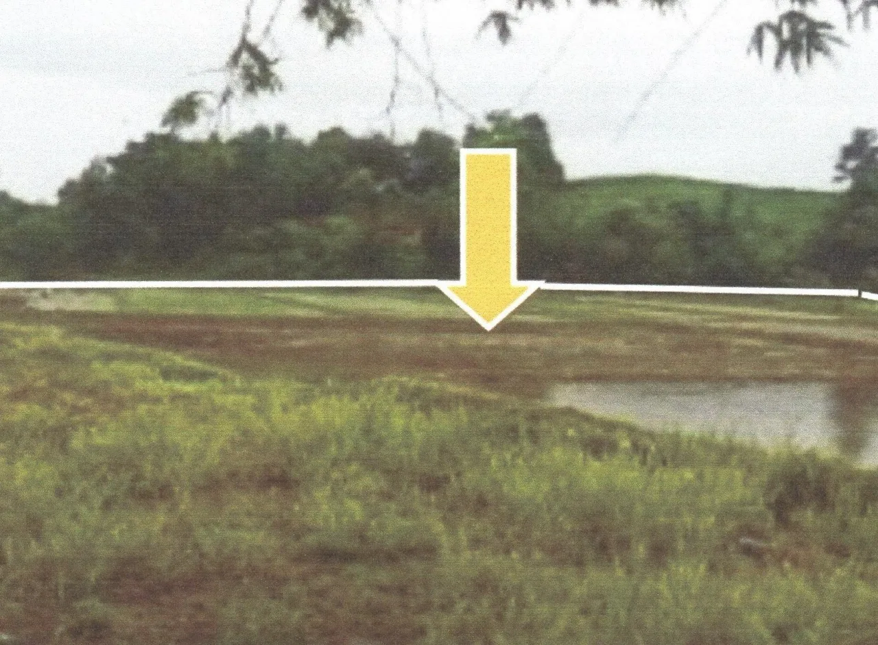 ขายทอดตลาด ที่ดินว่างเปล่า ต.แม่สรวย อ.แม่สรวย จ.เชียงราย