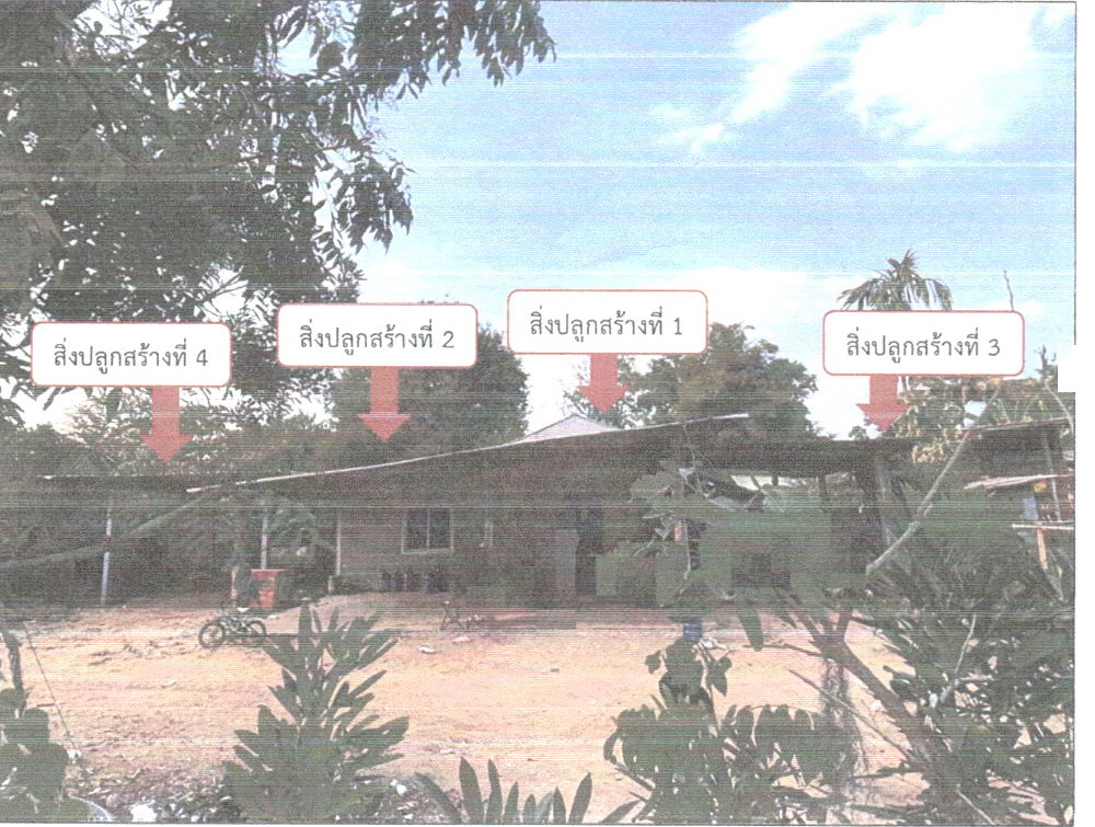 ขายทอดตลาด ที่ดินพร้อมสิ่งปลูกสร้าง ต.ตะโกทอง อ.ซับใหญ่ จ.ชัยภูมิ