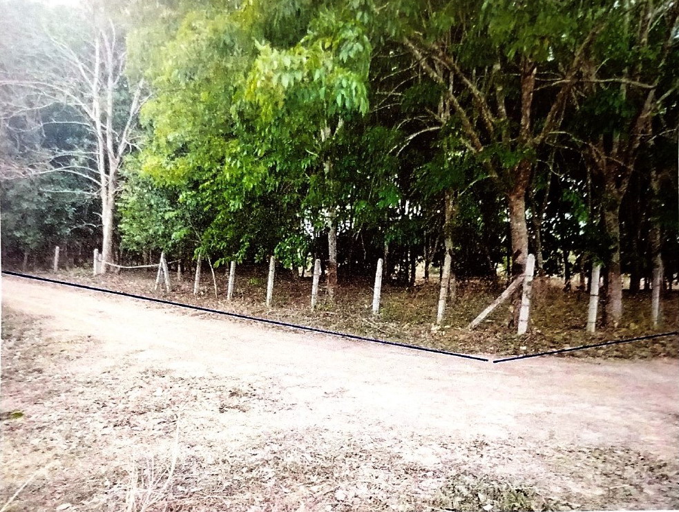 ขายทอดตลาด ที่ดินว่างเปล่า ต.ทรายขาว อ.พาน จ.เชียงราย