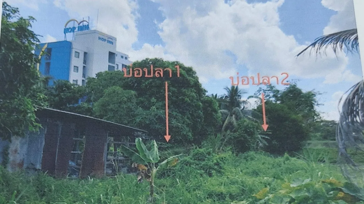 ขายทอดตลาด ที่ดินว่างเปล่า ต.ท่าวัง อ.เมืองนครศรีธรรมราช จ.นครศรีธรรมราช