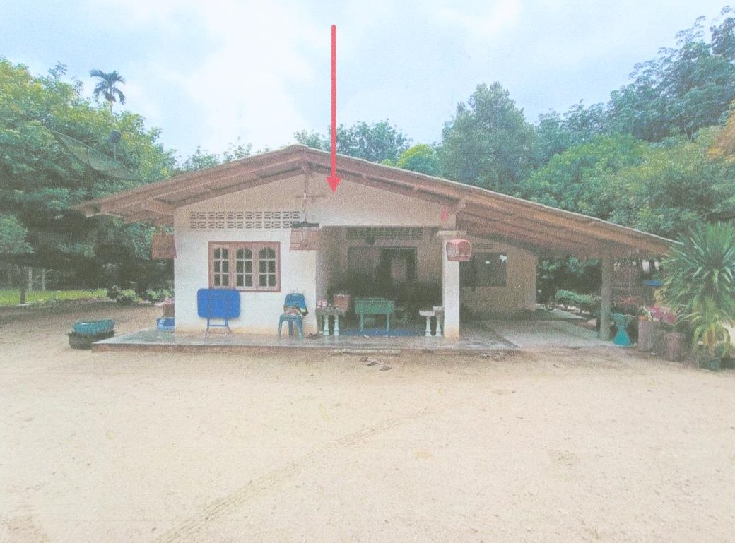 ขายทอดตลาด ที่ดินพร้อมสิ่งปลูกสร้าง ต.นาเหรง อ.นบพิตำ จ.นครศรีธรรมราช