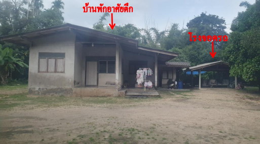 ขายทอดตลาด ที่ดินพร้อมสิ่งปลูกสร้าง ต.เขาน้อย อ.สิชล จ.นครศรีธรรมราช