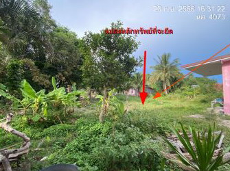 ขายทอดตลาด ที่ดินว่างเปล่า ต.ขนอม อ.ขนอม จ.นครศรีธรรมราช