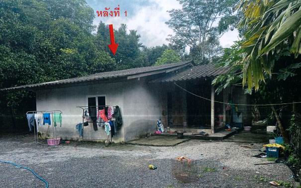 ขายทอดตลาด ที่ดินพร้อมสิ่งปลูกสร้าง ต.อินคีรี อ.พรหมคีรี จ.นครศรีธรรมราช