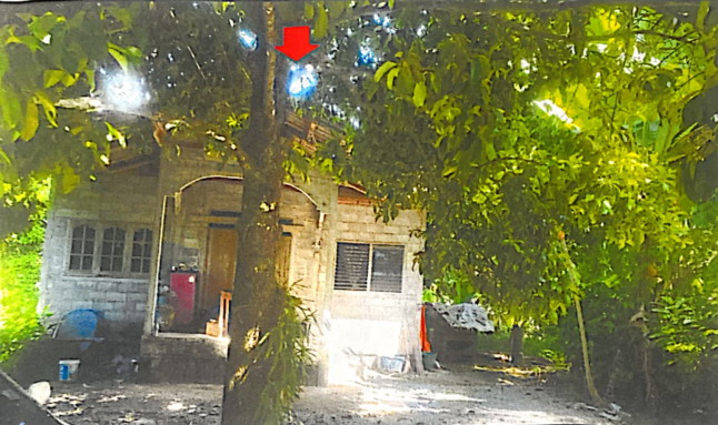 ขายทอดตลาด ที่ดินพร้อมสิ่งปลูกสร้าง ต.กำโลน อ.ลานสกา จ.นครศรีธรรมราช