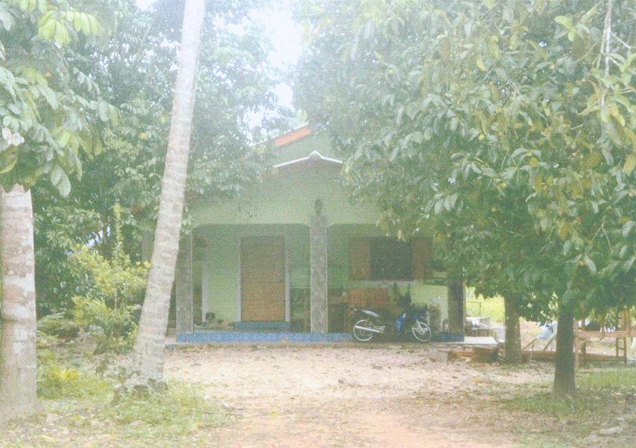 ขายทอดตลาด ที่ดินพร้อมสิ่งปลูกสร้าง ต.ทอนหงส์ อ.พรหมคีรี จ.นครศรีธรรมราช