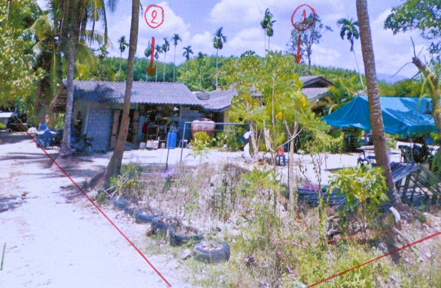 ขายทอดตลาด ที่ดินพร้อมสิ่งปลูกสร้าง ต.โมคลาน อ.ท่าศาลา จ.นครศรีธรรมราช