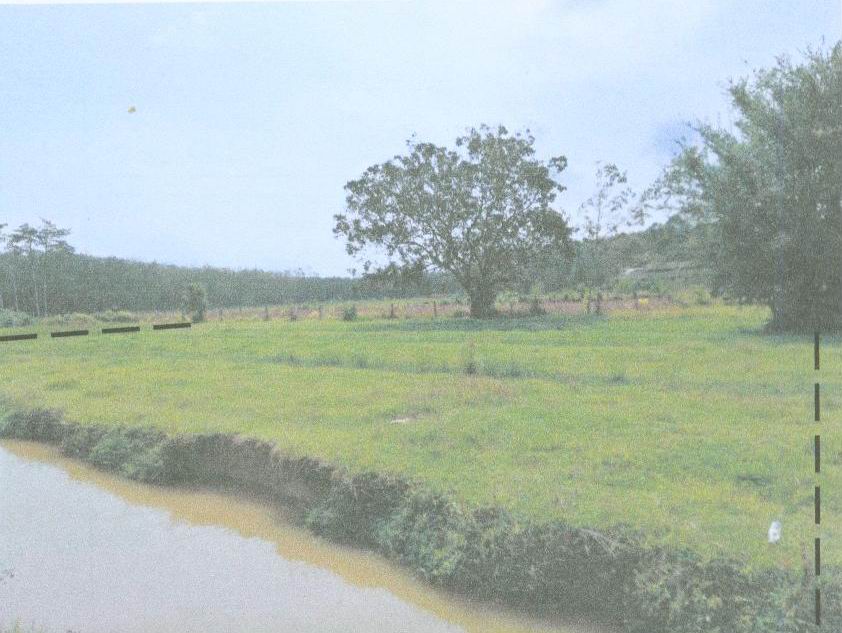 ขายทอดตลาด ที่ดินว่างเปล่า ต.ท่าขึ้น อ.ท่าศาลา จ.นครศรีธรรมราช
