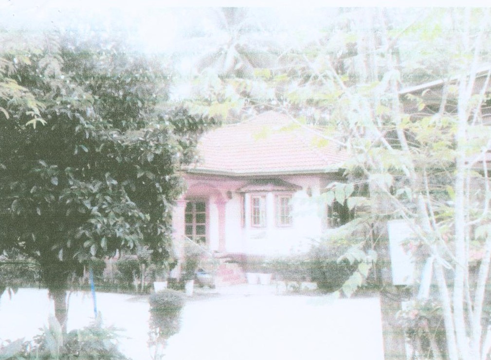 ขายทอดตลาด ที่ดินพร้อมสิ่งปลูกสร้าง ต.โมคลาน อ.ท่าศาลา จ.นครศรีธรรมราช
