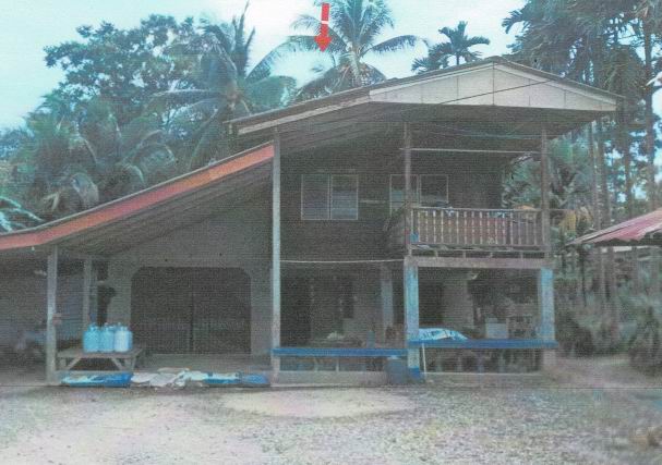 ขายทอดตลาด ที่ดินพร้อมสิ่งปลูกสร้าง ต.เกาะขันธ์ อ.ชะอวด จ.นครศรีธรรมราช