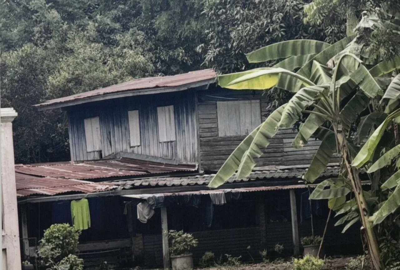 ขายทอดตลาด ที่ดินพร้อมสิ่งปลูกสร้าง ต.บางแก้ว อ.บรรพตพิสัย จ.นครสวรรค์
