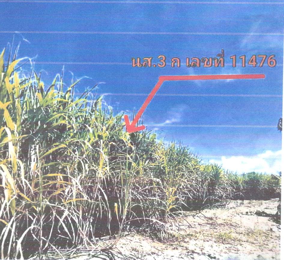 ขายทอดตลาด ที่ดินว่างเปล่า จ.ชัยภูมิ