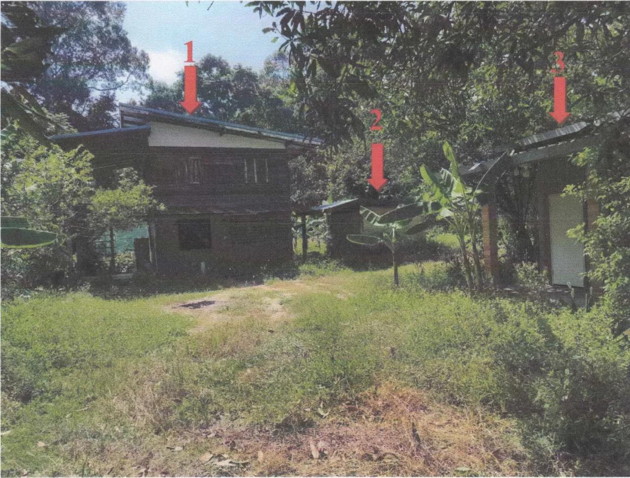 ขายทอดตลาด ที่ดินพร้อมสิ่งปลูกสร้าง ต.สระแก้ว อ.ลาดยาว จ.นครสวรรค์