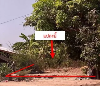 รูปทรัพย์ 2