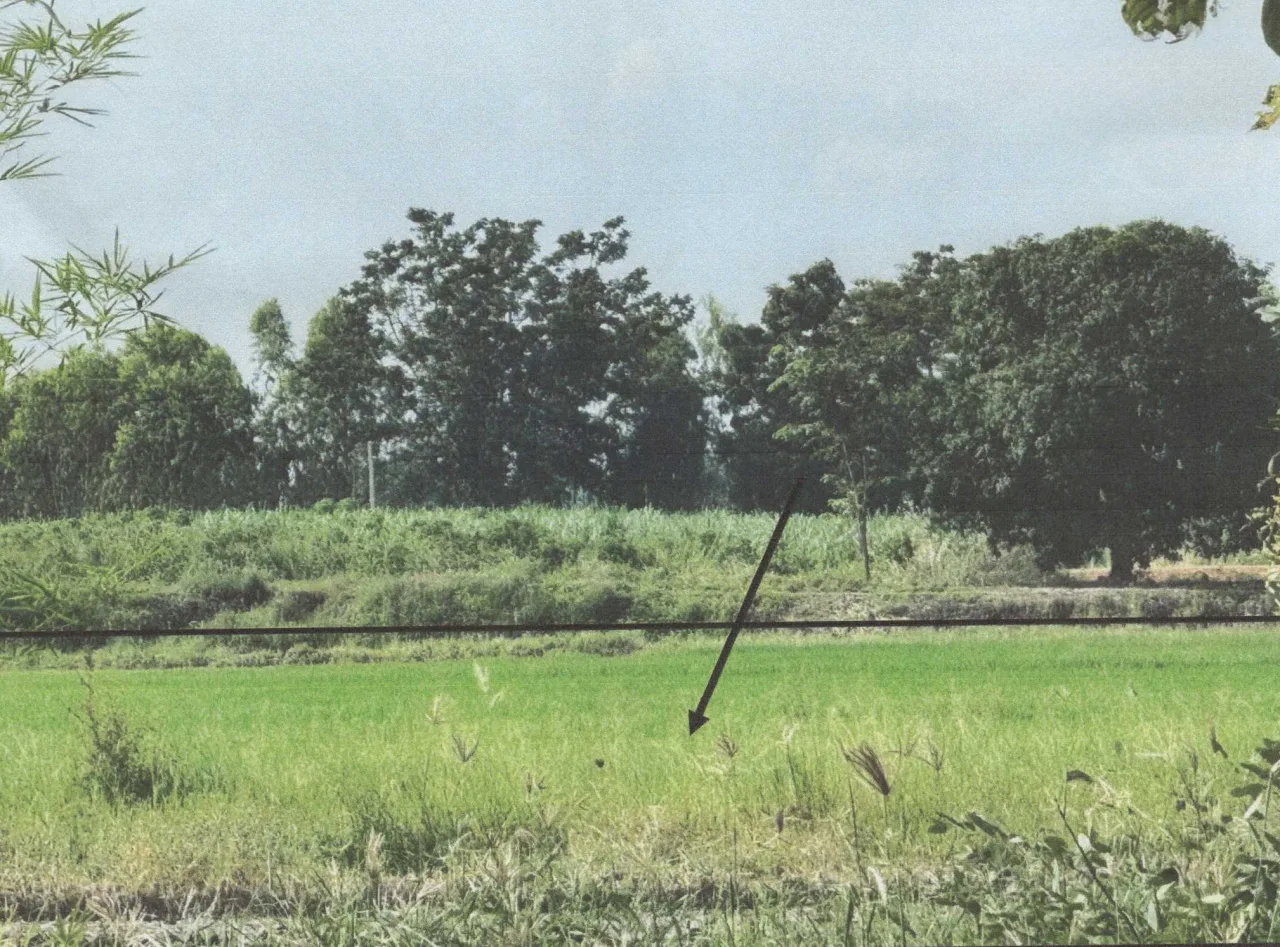 ขายทอดตลาด ที่ดินว่างเปล่า จ.บุรีรัมย์