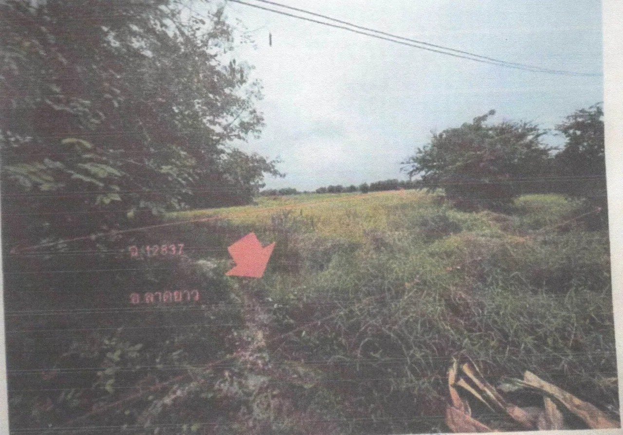 ขายทอดตลาด ที่ดินว่างเปล่า ต.สระแก้ว(ลาดยาว) อ.ลาดยาว จ.นครสวรรค์