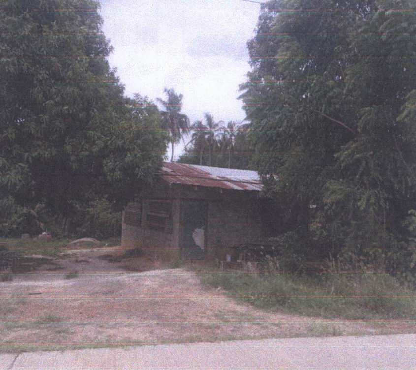 ขายทอดตลาด ที่ดินพร้อมสิ่งปลูกสร้าง ต.บ้านไร่ อ.ลาดยาว จ.นครสวรรค์