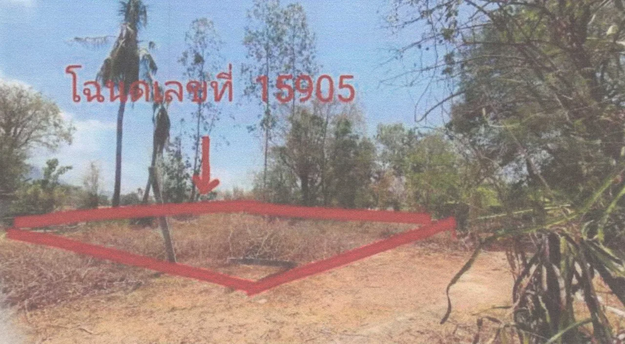 ขายทอดตลาด ที่ดินว่างเปล่า ต.เนินศาลา อ.โกรกพระ จ.นครสวรรค์
