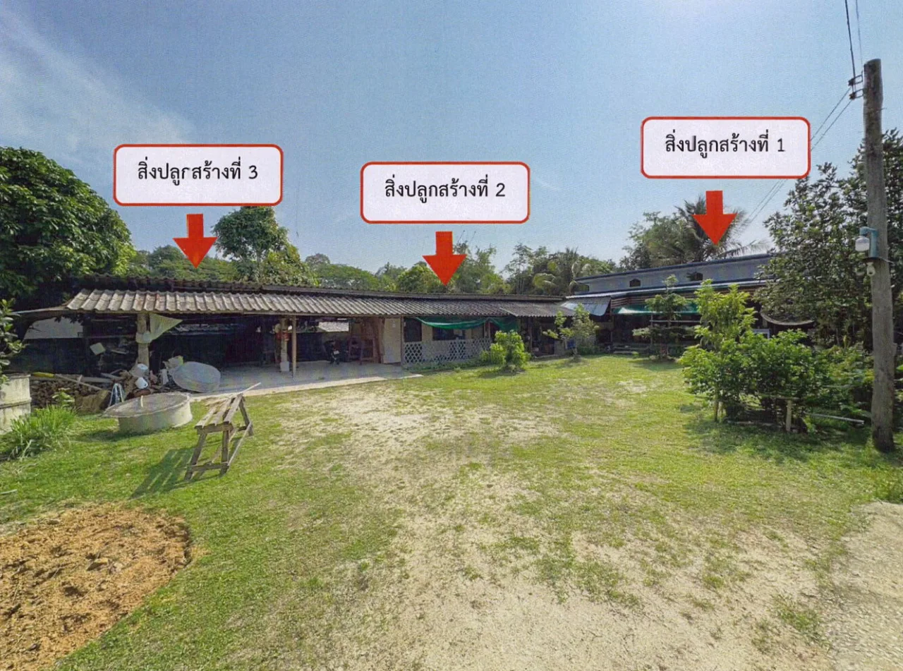 ขายทอดตลาด ที่ดินพร้อมสิ่งปลูกสร้าง ต.เวียง อ.เวียงป่าเป้า จ.เชียงราย
