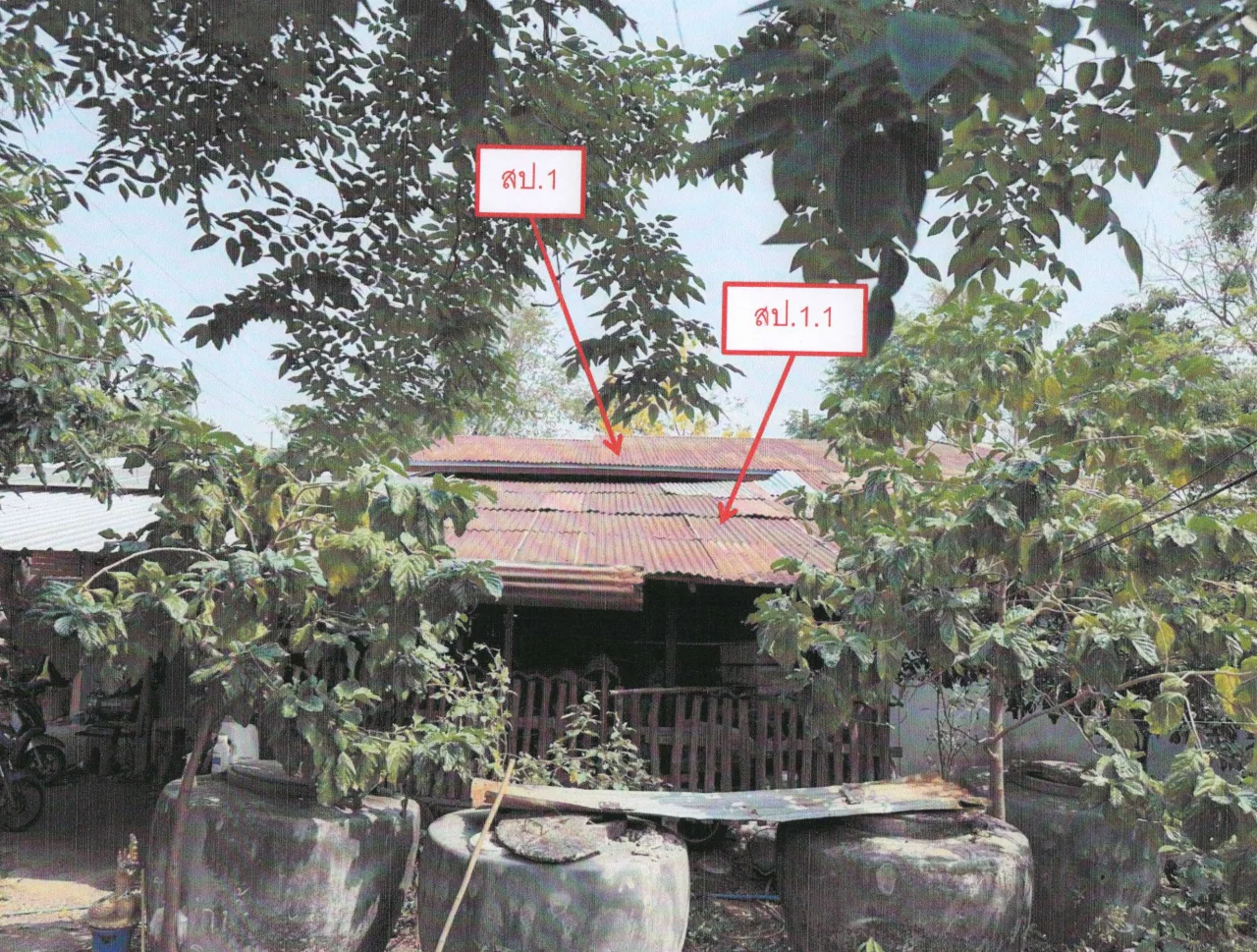 ขายทอดตลาด ที่ดินพร้อมสิ่งปลูกสร้าง ต.สายลำโพง อ.ท่าตะโก จ.นครสวรรค์